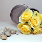 Apartman Gallery *