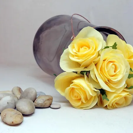 Appartamento Gallery *